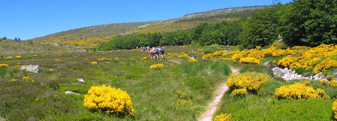 rando pedestre dans les cevennes