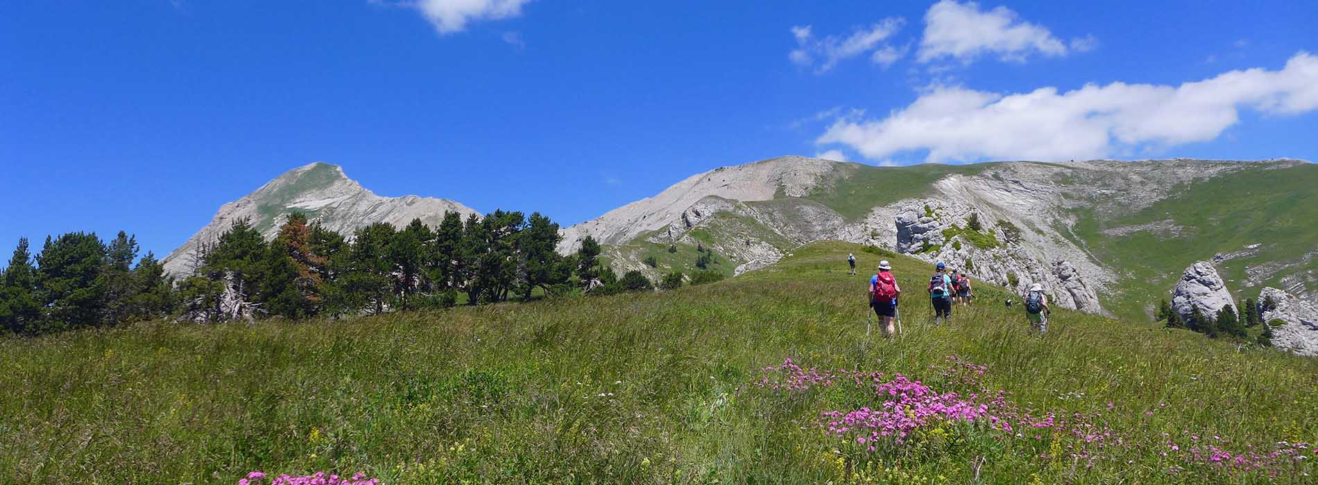 randonnée été pays du buech