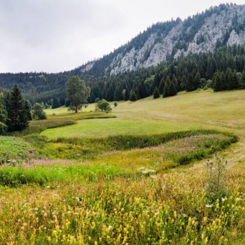 plaine herbouilly vercors